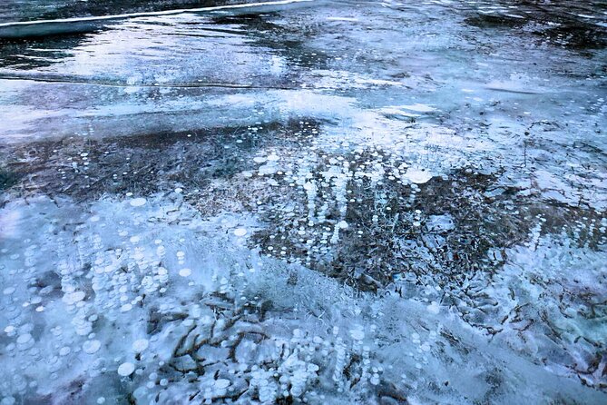 Abraham IceBubble, Peyto, Bow Lake with Snowshoeing& Icewalk - Mountain roads, wildlife, and the long ride