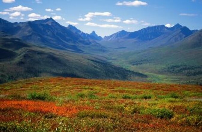 Active Winter Adventure in Yukon | 5 days - Key points to know before booking