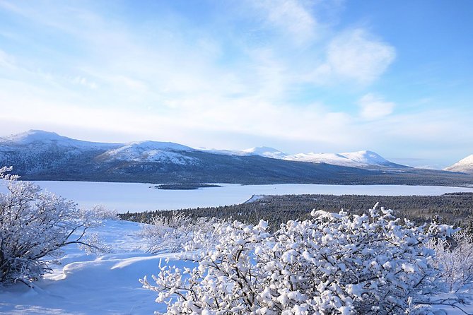 Active Winter Adventure in Yukon | 5 days - Day 3: A second chance under the northern sky