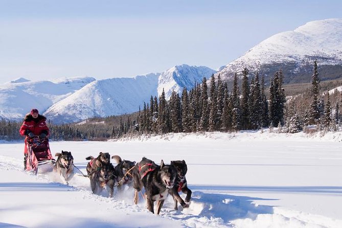 Active Winter Adventure in Yukon | 5 days - Day 2: Yukon from the air, road, and hot springs