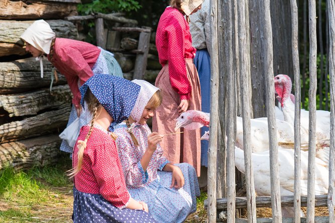 Admission 1 person - Visit of the Acadian Historic Village - Historic buildings that make the past feel practical