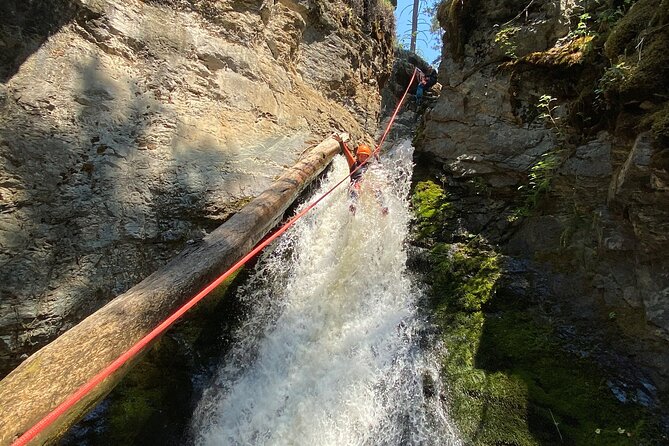 Adrenaline Canyoning Kelowna - Cold water, natural pools, and the wetsuit question