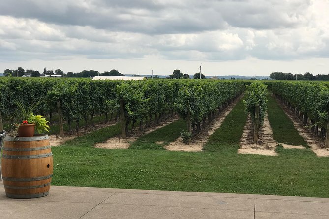 Afternoon Wine, Beer and Charcuterie Tour in Niagara-on-the-Lake - Niagara Oast House Brewers starts with farmhouse character