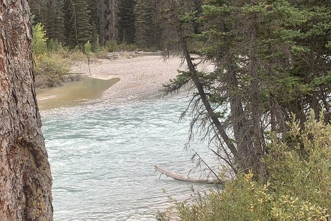 Airport Shuttle: Lake Louise <---> Calgary - The return ride from Lake Louise