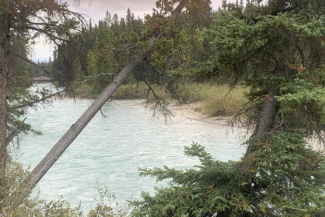 Airport Shuttle: Lake Louise <---> Calgary - The human side of the service