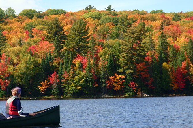 Algonquin Park 3-Day Deluxe Camping & Canoeing Adventure - Key details before you paddle away