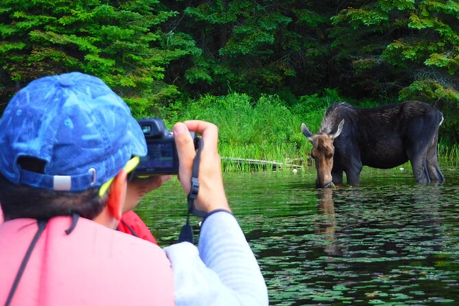 Algonquin Park 3-Day Deluxe Camping & Canoeing Adventure - Day one: canoeing, a 200-meter portage, and camp beside the lake