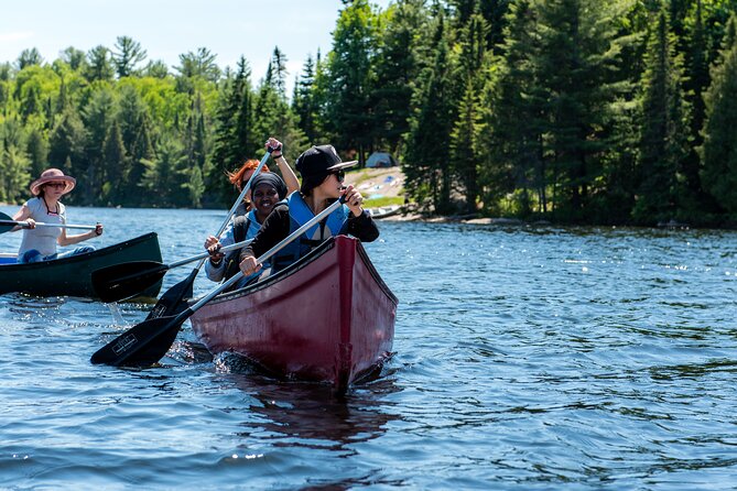 Algonquin Park 3-Day Deluxe Camping & Canoeing Adventure - Should you book the Algonquin Park canoe adventure?