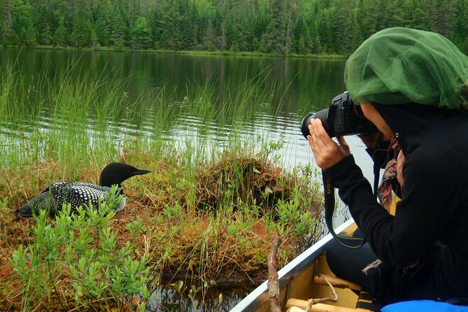 Algonquin Park 4-Day Deluxe Camping & Canoeing Adventure - What the camping is really like
