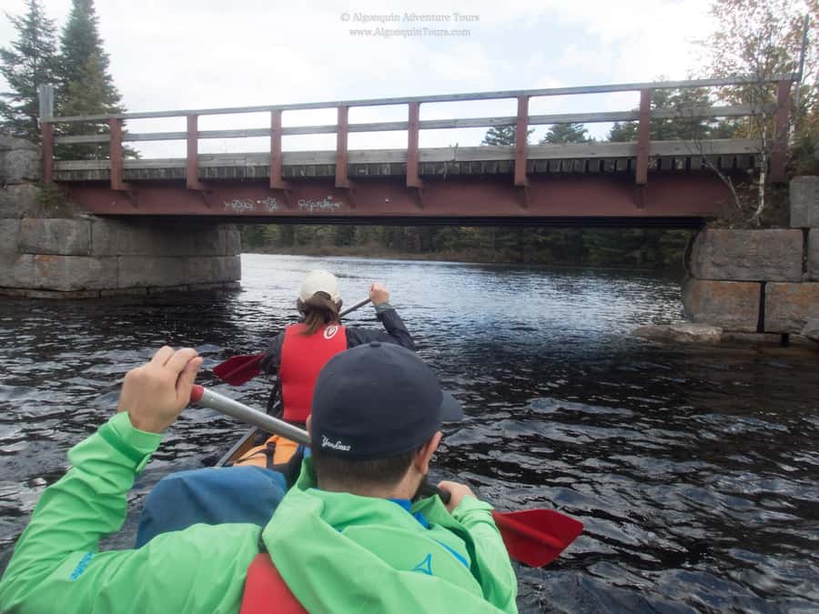 Algonquin Park: Canoe Camping Safari - Rain, bugs, and the gear you should bring