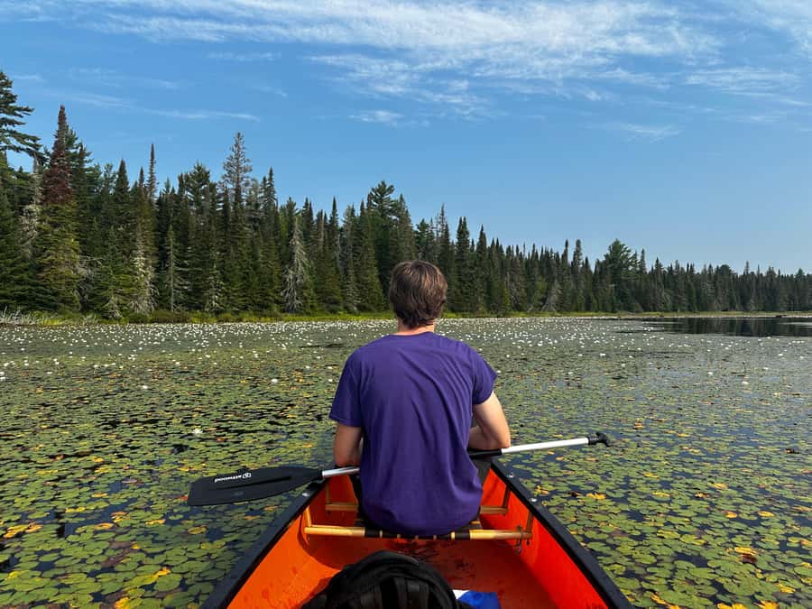 Algonquin Park: Deluxe 4-Day/3-night Canoeing/Camping - What the $321 price really covers