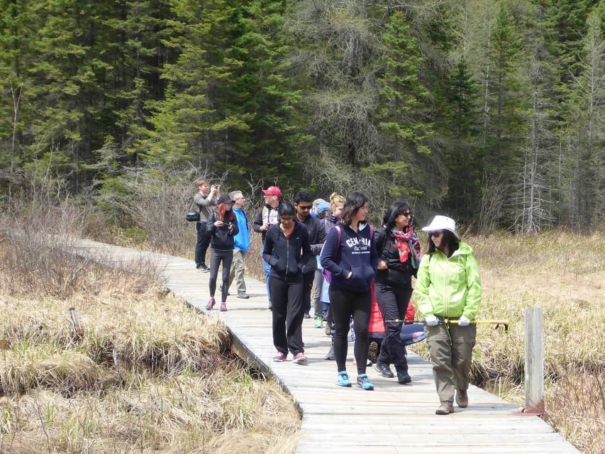 Algonquin Park Hiking: Adventure Tour from Toronto - How much hiking will you really do?