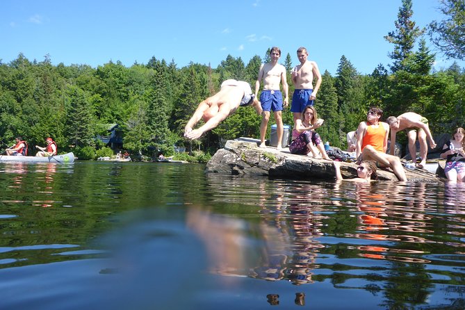Algonquin Provincial Park Day Tour from Toronto - Key points before you book