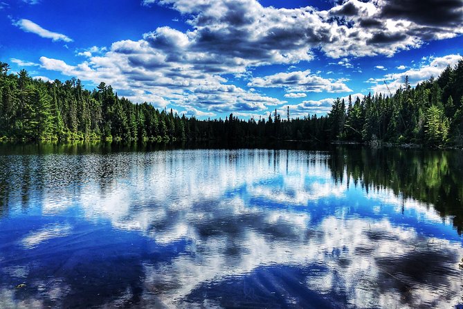 Algonquin Provincial Park Day Tour from Toronto - The Lookout Trail in winter