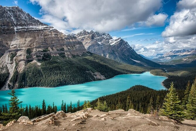 Along Icefields Parkway: Peyto Lake, Bow Lake & Columbia Icefield - Key points before you book