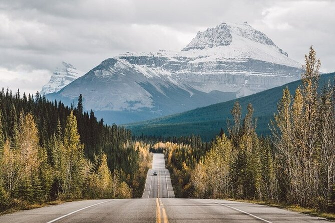 Along Icefields Parkway: Peyto Lake, Bow Lake & Columbia Icefield - Columbia Icefield and the optional Ice Explorer