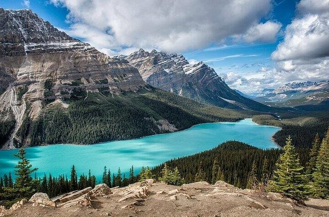 Along Icefields Parkway: Peyto Lake, Bow Lake & Columbia Icefield - What the guide and vehicle add to the day