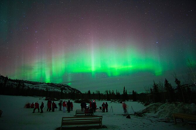 Arctic Day: Aurora Viewing Tour | late night - The cold is part of the deal