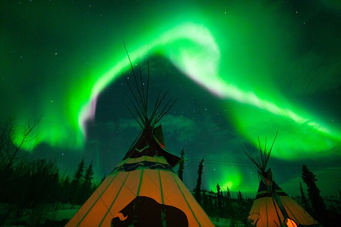Arctic Day: Aurora Viewing Tour | late night - Who should book this late-night tour?