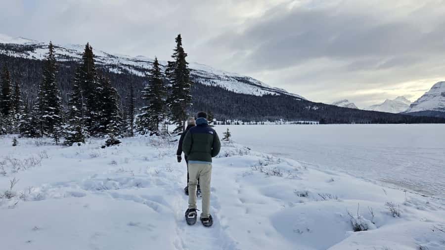 Athabasca Falls/Abraham,Sunwapta Falls, Icefield, Peyto Lake - The $107 price and what you receive