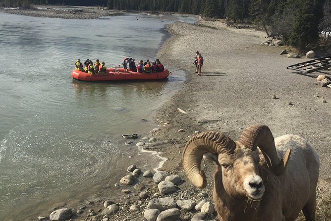 Athabasca River Easy Scenic Raft Trip - Family appeal and physical effort