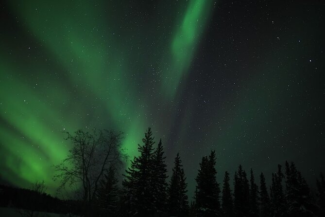 Aurora Chasing + Aurora Lodge - Pickup is organized, but choose the right hotel