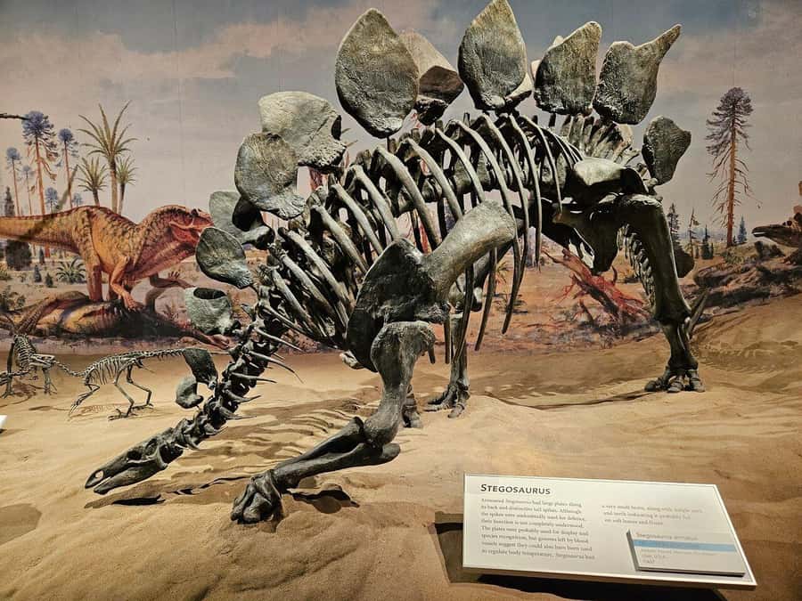 Badlands Tour: Drumheller with Museum, Hoodoos & Coal Mine - Hoodoos Trail and the work of erosion