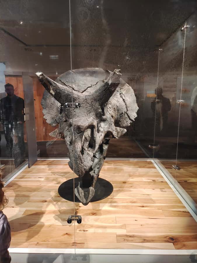 Badlands Tour: Drumheller with Museum, Hoodoos & Coal Mine - What the $126 price really covers