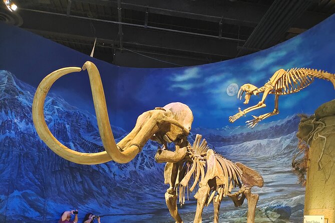 Badlands Tour: Drumheller with Museum, Hoodoos & Dinosaurs - Two hours at the Royal Tyrrell Museum