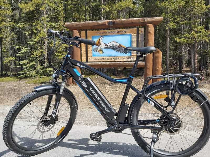 Banff: 4-Hour E-Bike and Walking Tour in Johnston Canyon - What the guide adds to the day