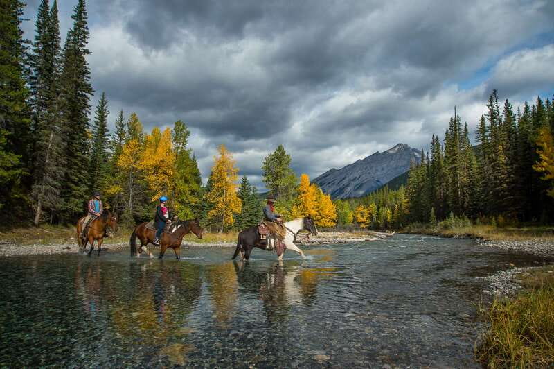 Banff: 4-Hour Sulphur Mountain Intermediate Horseback Ride - Riding Toward the Spray River