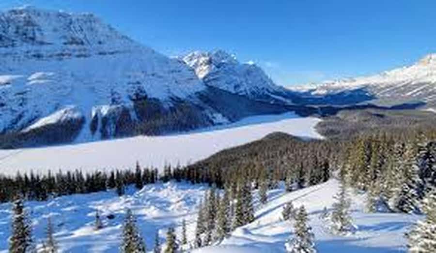 Banff and Jasper National Parks: Tour with Transport - Guides, driving, and the feel of the day