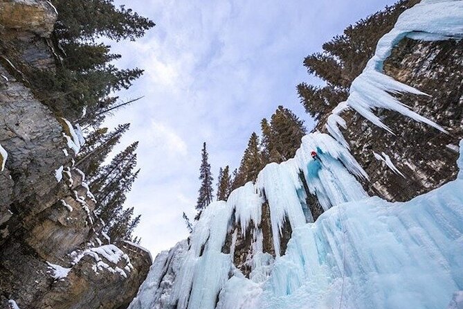 Banff Area & Johnston Canyon 1-Day Tour from Calgary or Banff - What the price includes, and what it does not