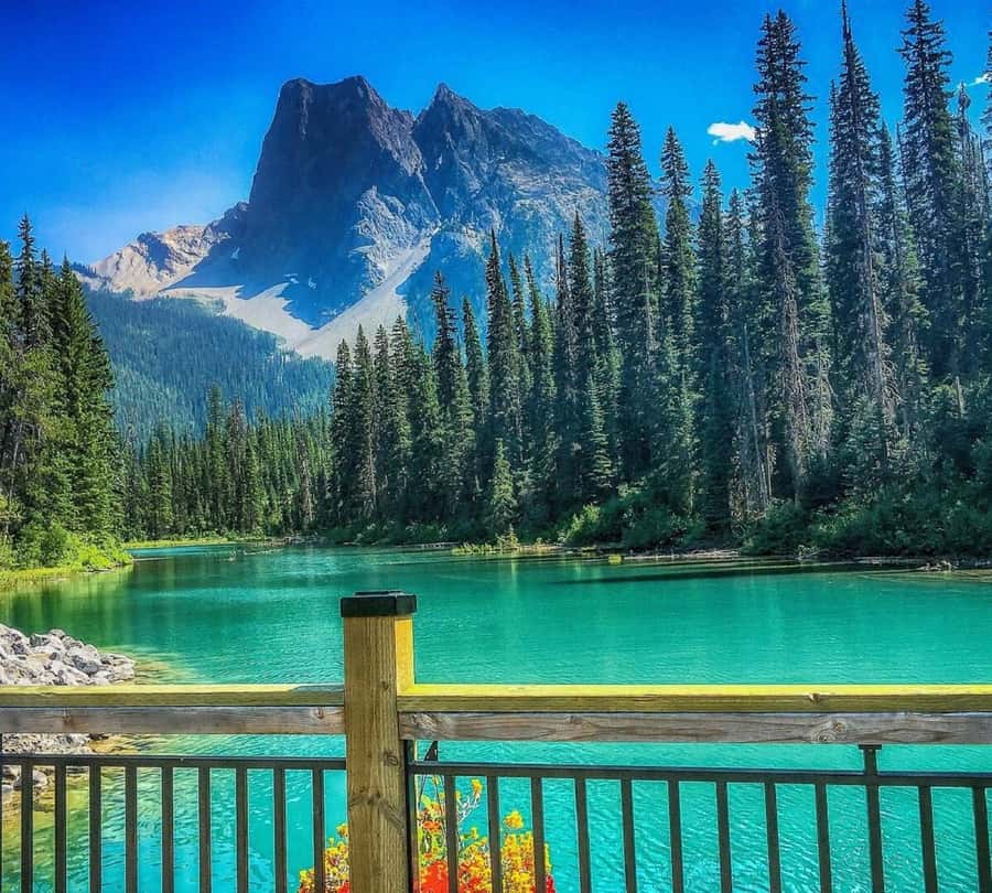 Banff/Calgary:Lake Louise,Moraine Lake,Emerald Lake Day Tour - Why this $58 tour works for a first Rockies visit