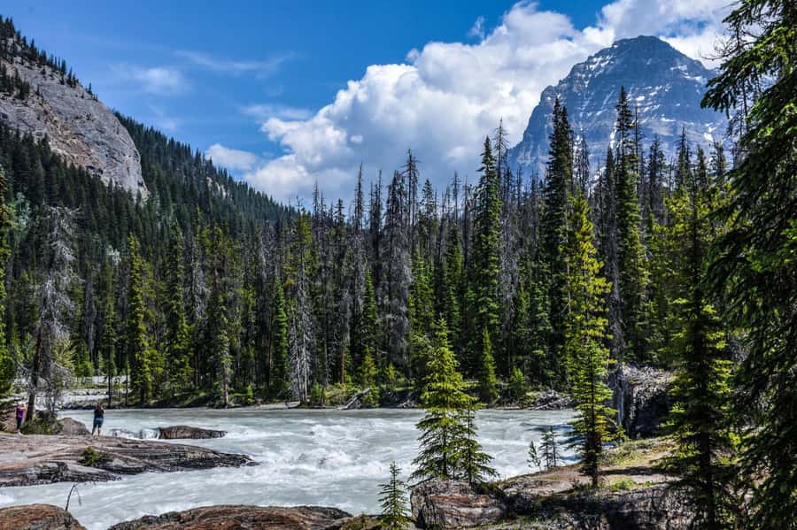 Banff/Calgary:Lake Louise,Moraine Lake,Emerald Lake Day Tour - Yoho National Park changes the mood