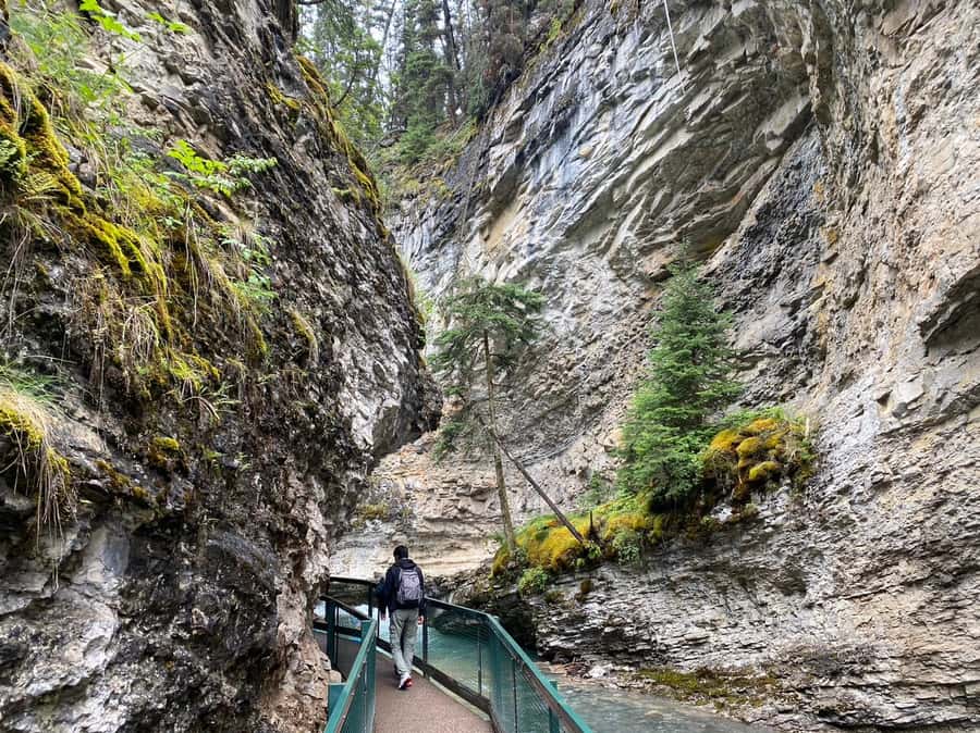 Banff/Canmore: Moraine Lake 1.5h & Lake Louise Half-Day Tour - Who will enjoy this tour most
