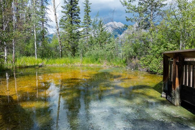 Banff Cave & Hot Springs Audio Walking Tour (Not a Ticket) - Looking toward Sulphur Mountain