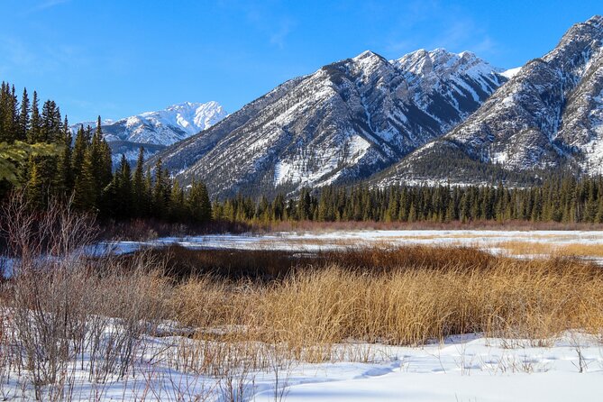 Banff Cave & Hot Springs Audio Walking Tour (Not a Ticket) - Where this tour gives you good value