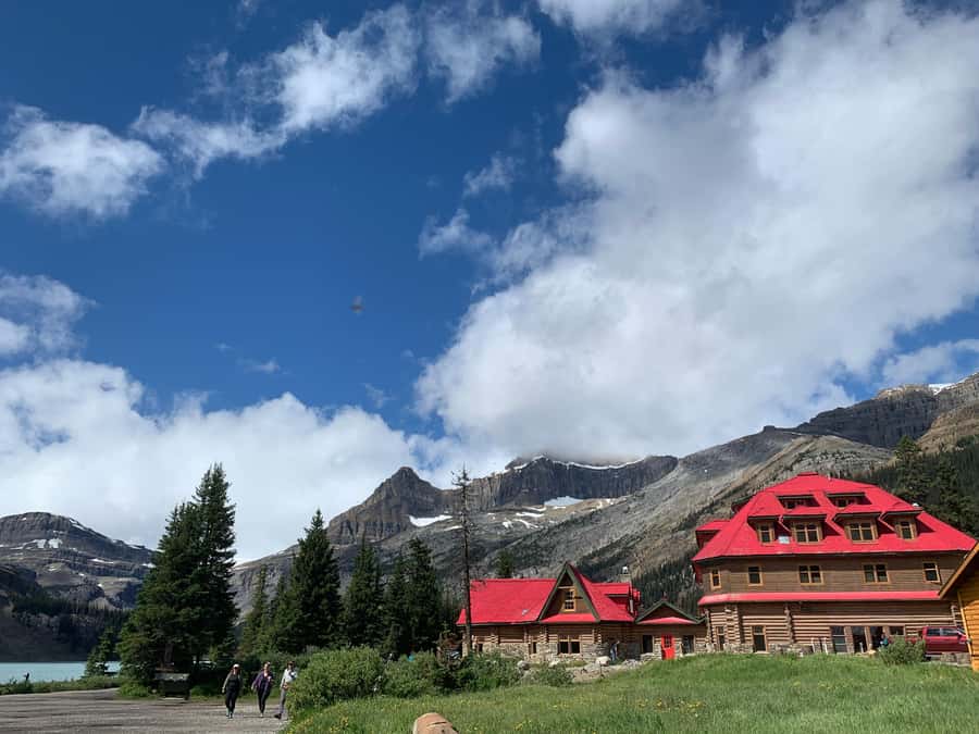 Banff: Columbia Icefield, Skywalk, Parkway, Bow & Peyto Lake - What the $86 tour really covers