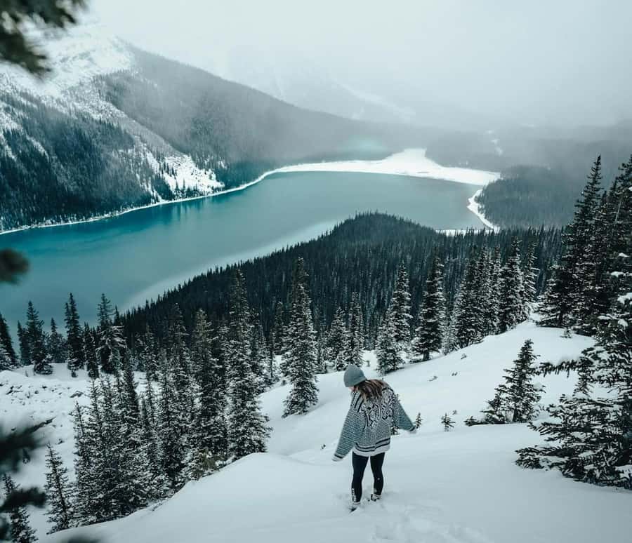 Banff: Columbia Icefield, Skywalk, Parkway, Bow & Peyto Lake - The long road from Calgary to the Columbia Icefield