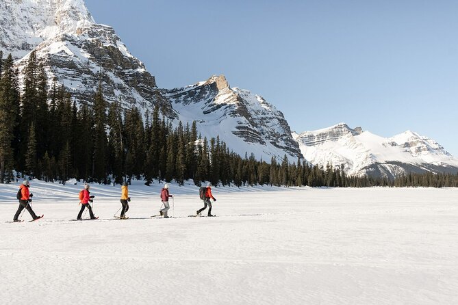 Banff Day Trip: Johnston Canyon, Fairmont Banff Springs, Gondola - Hoodoo’s Viewpoint and the strange rock spires