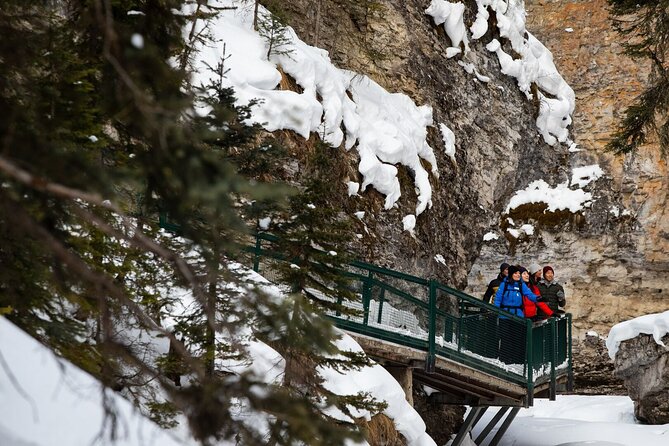Banff Day Trip: Johnston Canyon, Fairmont Banff Springs, Gondola - Lunch and the Fairmont Banff Springs