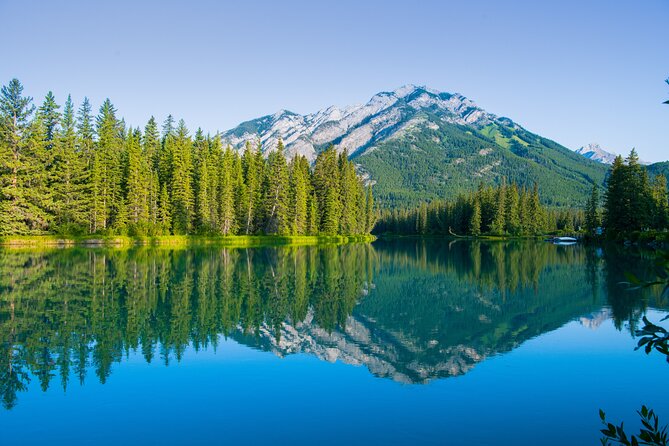 Banff Deep 1 Day Tour in small group - Vermilion Lakes and the Cascades of Time Garden