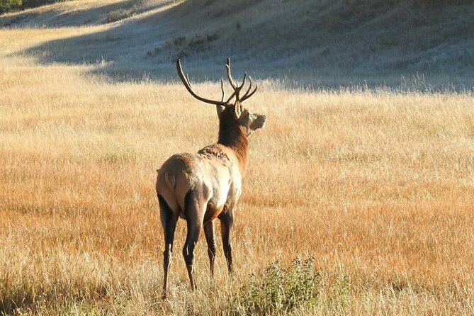 Banff Deep 1 Day Tour in small group - Banff town gives you a useful hour