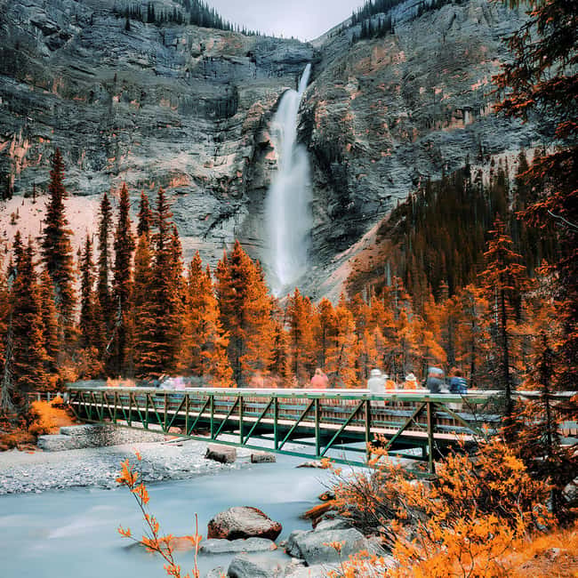 Banff: Emerald Lake, Wapta Falls & Takakkaw Falls Day Trip - Emerald Lake: the calmest stop of the morning