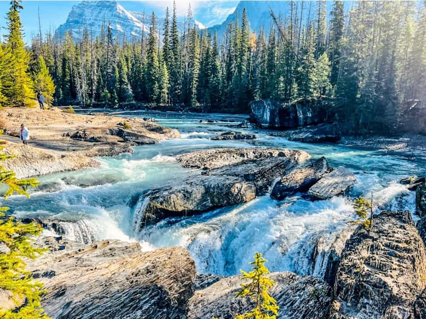 Banff: Emerald Lake, Wapta Falls & Takakkaw Falls Day Trip - Wapta Falls: the day’s main walking challenge