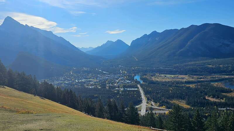 Banff: Evening Wildlife Safari Guided Tour - Key points at a glance