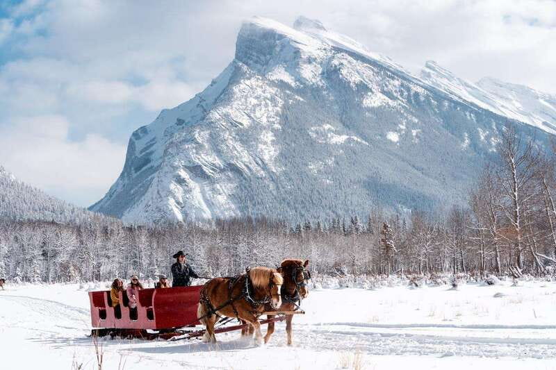 Banff: Family Friendly Horse-Drawn Sleigh Ride - Who will enjoy this most?