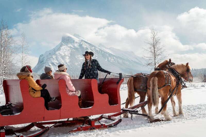 Banff: Family Friendly Horse-Drawn Sleigh Ride - A short ride with a very big Banff backdrop