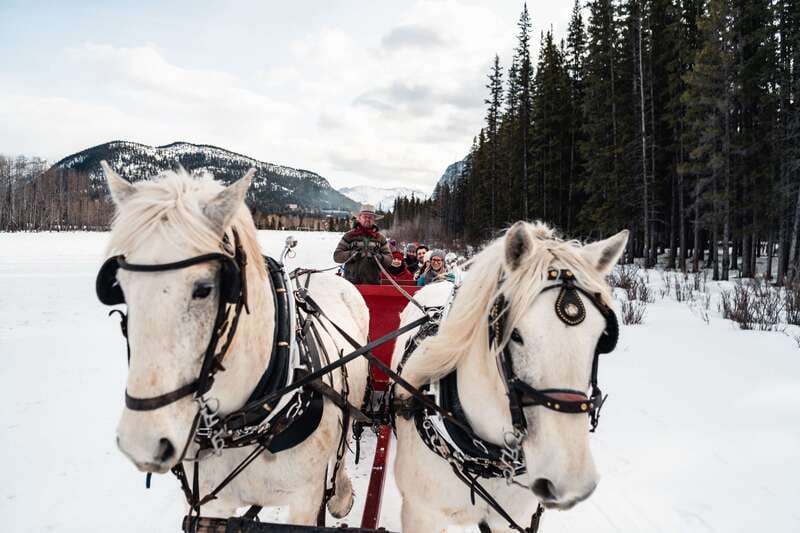 Banff: Family Friendly Horse-Drawn Sleigh Ride - Hot drinks and the fireside finish
